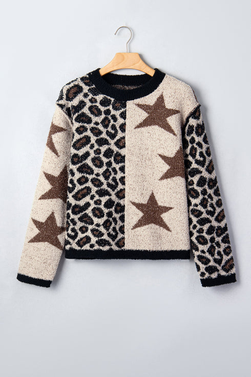 Leopard Star Pattern Round Neck Long Sleeve Shift Sweater