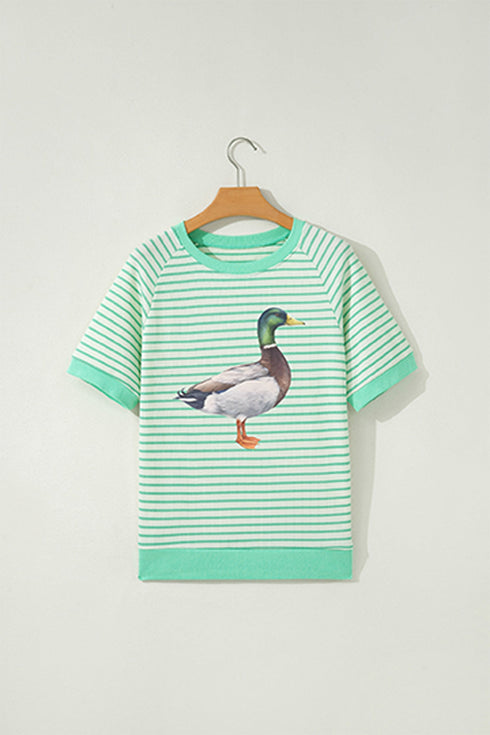 Polyester Striped Mallard Duck Raglan Graphic Tee