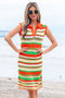 Striped Crochet Knit Collared Sleeveless Shift Dress