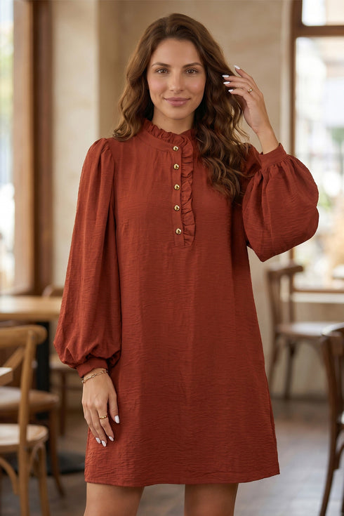 Pure Polyester Shift Long Sleeve Mini Dress