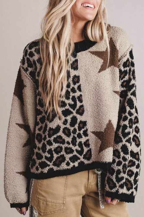 Leopard Star Pattern Round Neck Long Sleeve Shift Sweater