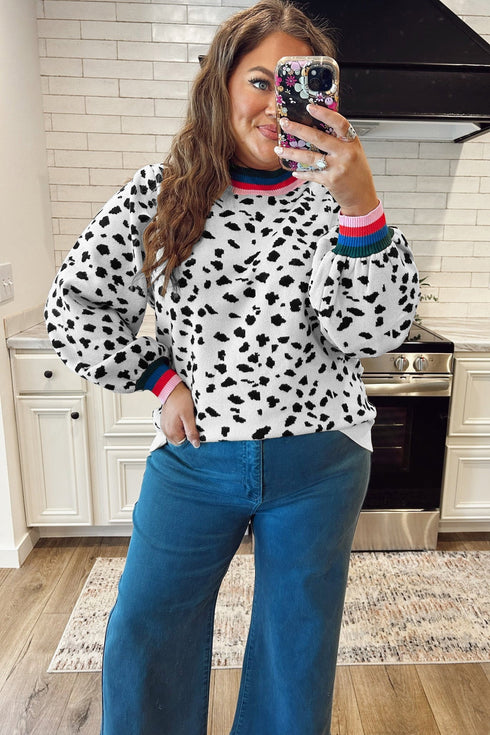 Leopard Print Round Neck Long Sleeve Tunic Sweater