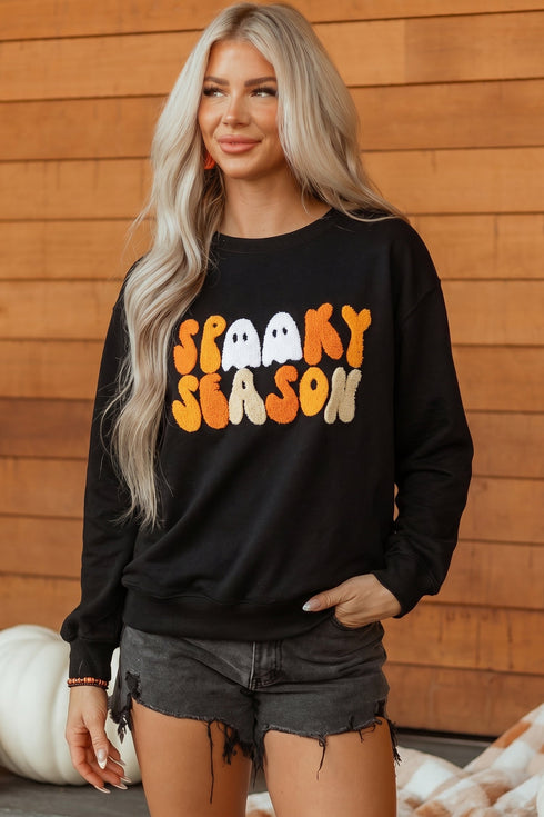 Embroidered Graphic Long Sleeve Round Neck Pullover Sweatshirt