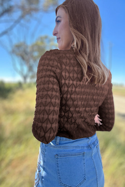 Sheer Textured Lace Stand Neck Western Long Sleeve Top