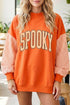 Plaid Sleeve Spooky Letter Graphic Pullover Sweatshirt