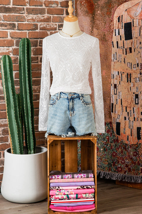 Sheer Mesh Lace Feminine Detail Long Sleeve Top