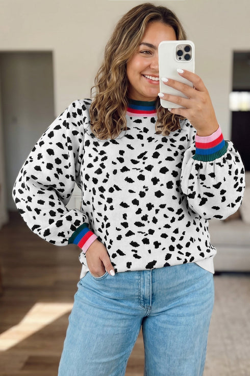 Leopard Print Round Neck Long Sleeve Tunic Sweater