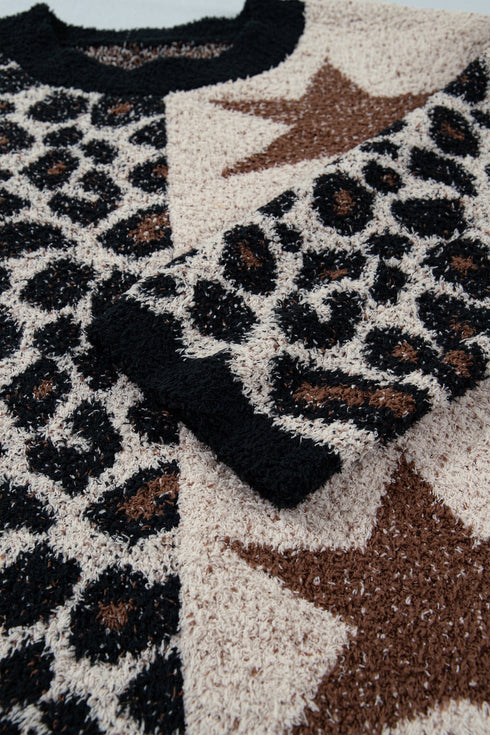 Leopard Star Pattern Round Neck Long Sleeve Shift Sweater