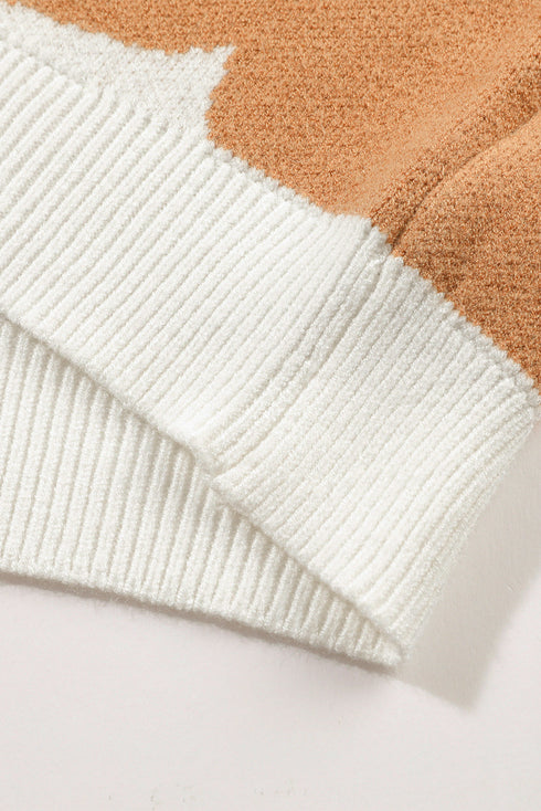 Abstract Floral Print Mock Neck Knit Sweater