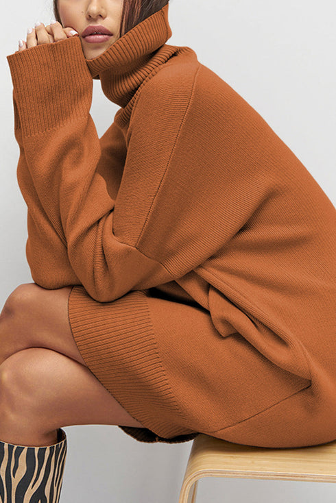 Oversized Turtleneck Center Seam Knit Sweater Dress