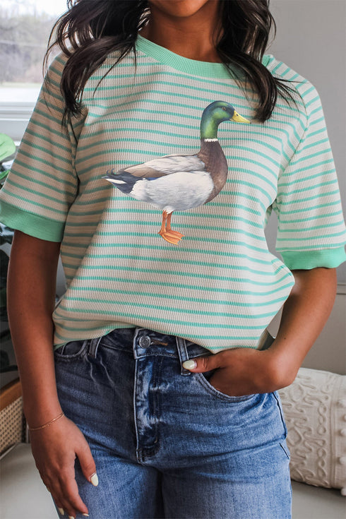 Striped Raglan Mallard Duck Illustration Graphic Tee