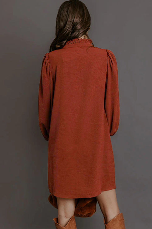 Pure Polyester Shift Long Sleeve Mini Dress