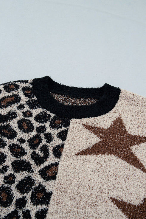 Leopard Star Pattern Round Neck Long Sleeve Sweater