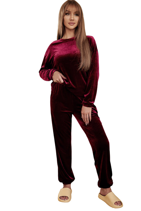 Plush Velvet Long Sleeve Top And Pant Set
