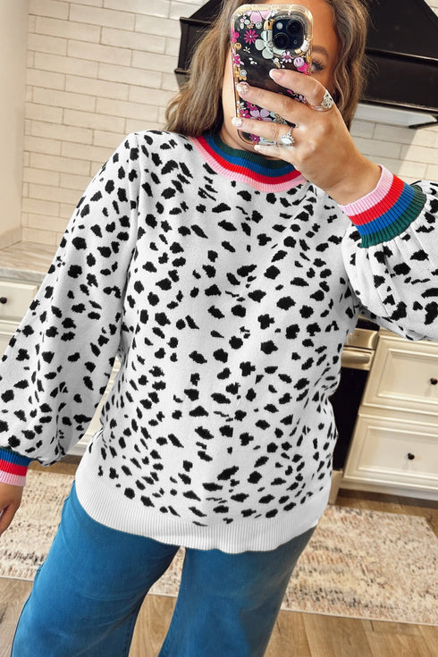Leopard Print Round Neck Long Sleeve Tunic Sweater