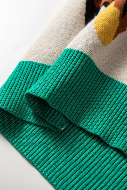 Abstract Animal Pattern Contrast Trim Knit Sweater