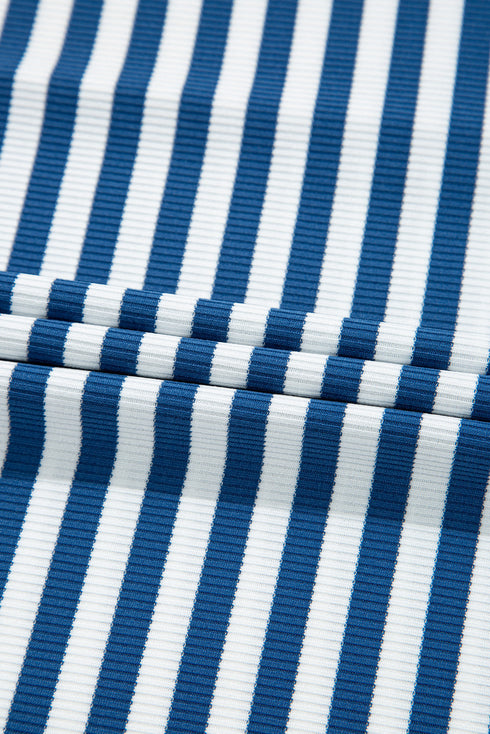 Active Stripe Collared V Neck Top Plus Size Skort Set