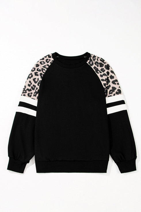 Animal Pattern Raglan Sleeve Varsity Stripe Pullover