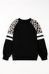 Animal Pattern Raglan Sleeve Varsity Stripe Pullover