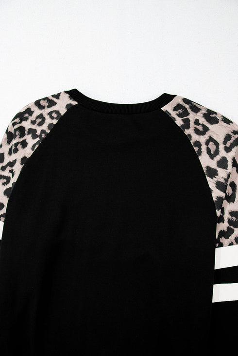 Animal Pattern Raglan Sleeve Varsity Stripe Pullover