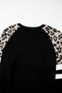 Animal Pattern Raglan Sleeve Varsity Stripe Pullover