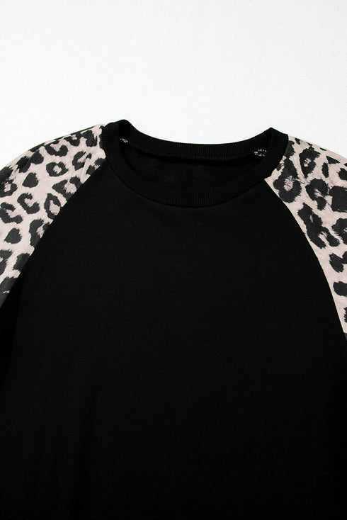 Animal Pattern Raglan Sleeve Varsity Stripe Pullover