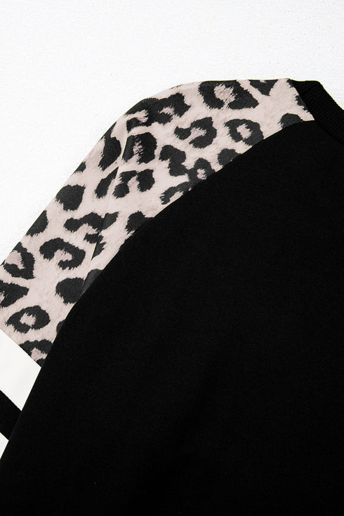 Animal Pattern Raglan Sleeve Varsity Stripe Pullover