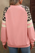 Animal Pattern Raglan Sleeve Varsity Stripe Pullover