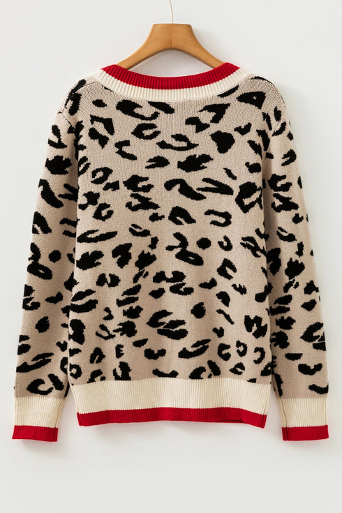 Animal Print Contrast Trim V Neck Sweater