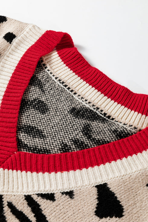 Animal Print Contrast Trim V Neck Sweater