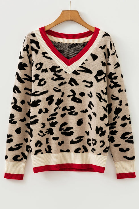 Animal Print Contrast Trim V Neck Sweater