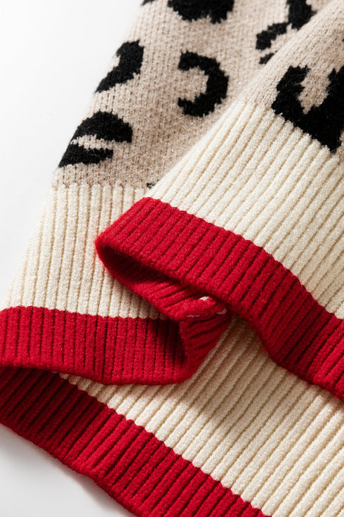 Animal Print Contrast Trim V Neck Sweater