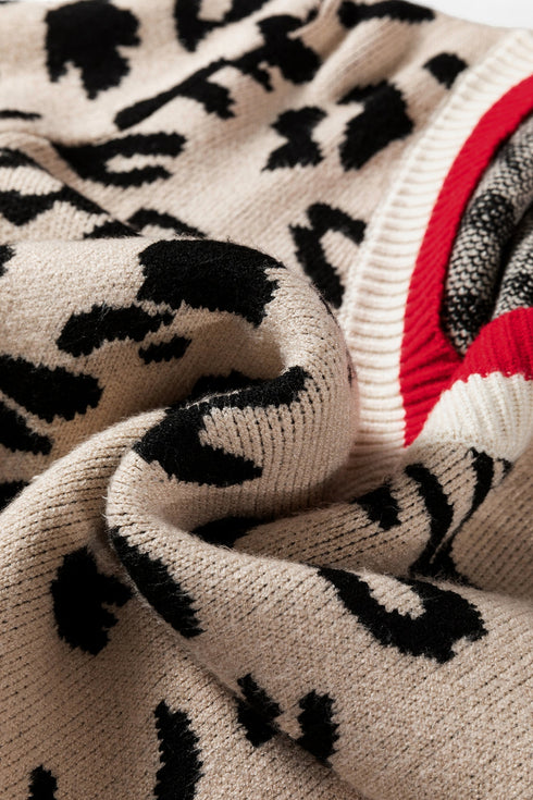Animal Print Contrast Trim V Neck Sweater
