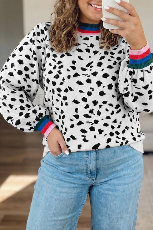 Leopard Print Round Neck Long Sleeve Tunic Sweater
