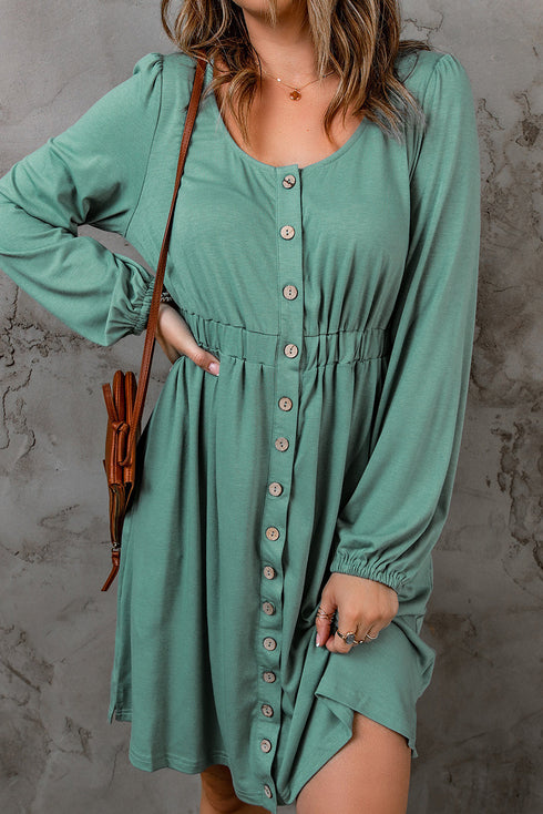 Button Front Long Sleeve Textured Mini Dress
