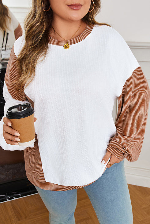 Cable Texture Ribbed Patchwork Plus Size Long Sleeve Top