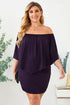 Cape Overlay Round Neck Layered Mini Dress
