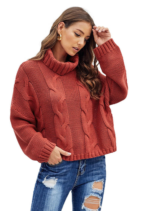 Chunky Cable Knit Long Sleeve Turtleneck Pullover Sweater