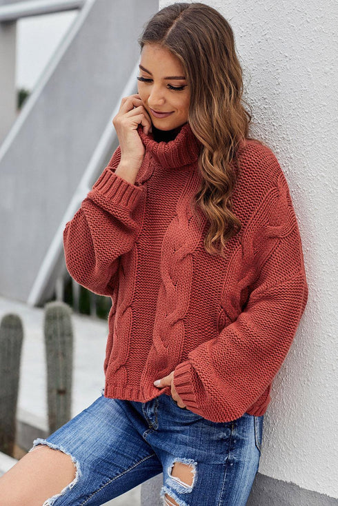 Chunky Cable Knit Long Sleeve Turtleneck Pullover Sweater