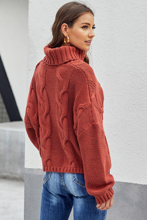 Chunky Cable Knit Long Sleeve Turtleneck Pullover Sweater
