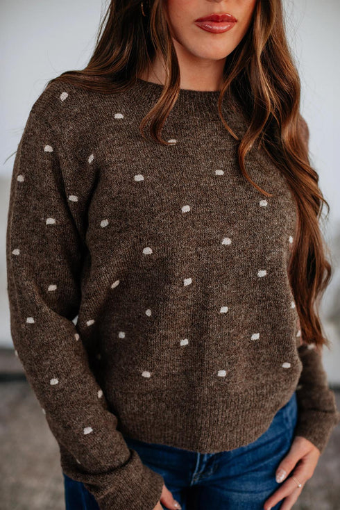 Classic Polka Dot Crew Neck Knit Sweater