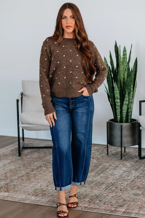 Classic Polka Dot Crew Neck Knit Sweater