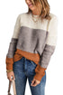 Color Block Netted Texture Pullover Sweater
