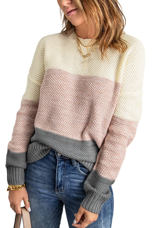 Color Block Netted Texture Pullover Sweater