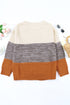 Color Block Netted Texture Pullover Sweater