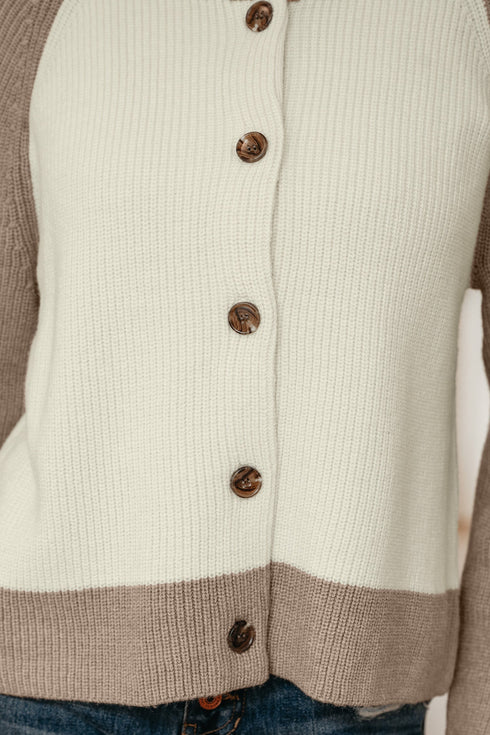Color Block Raglan Sleeve Button Front Knit Cardigan