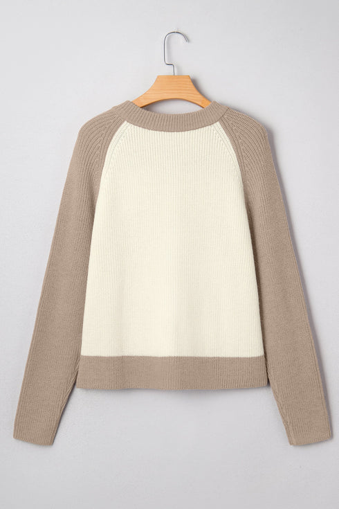 Color Block Raglan Sleeve Button Front Knit Cardigan