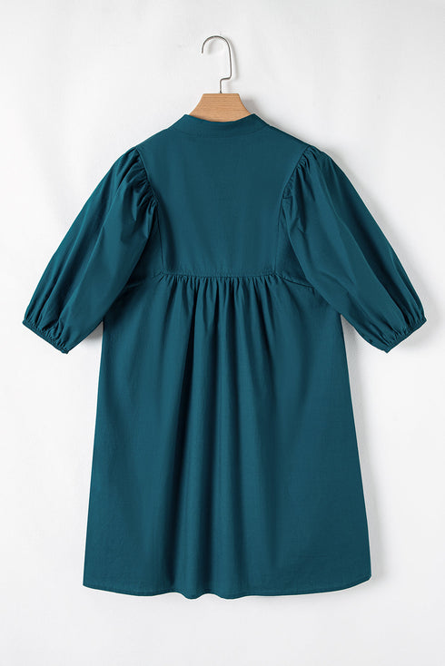 Colorblock Split V Neck Puff Sleeve Mini Dress