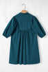 Colorblock Split V Neck Puff Sleeve Mini Dress