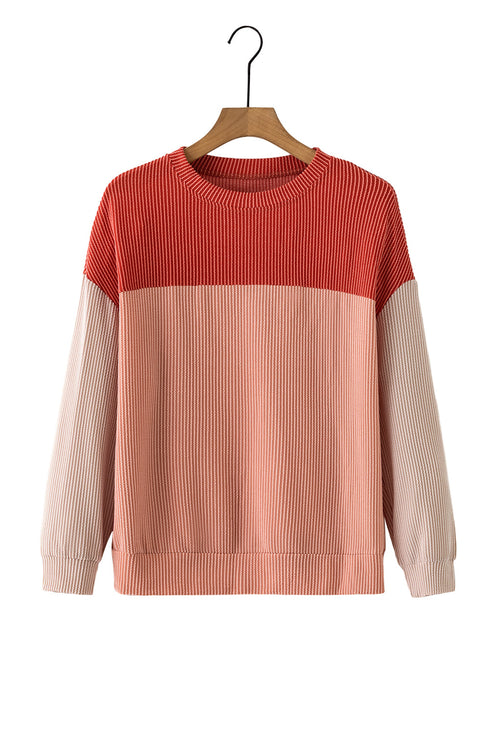 Contrast Panel Ribbed Knit Long Sleeve Pullover Top